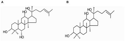 Dammarane Sapogenins Improving Simulated Weightlessness-Induced Depressive-Like Behaviors and Cognitive Dysfunction in Rats